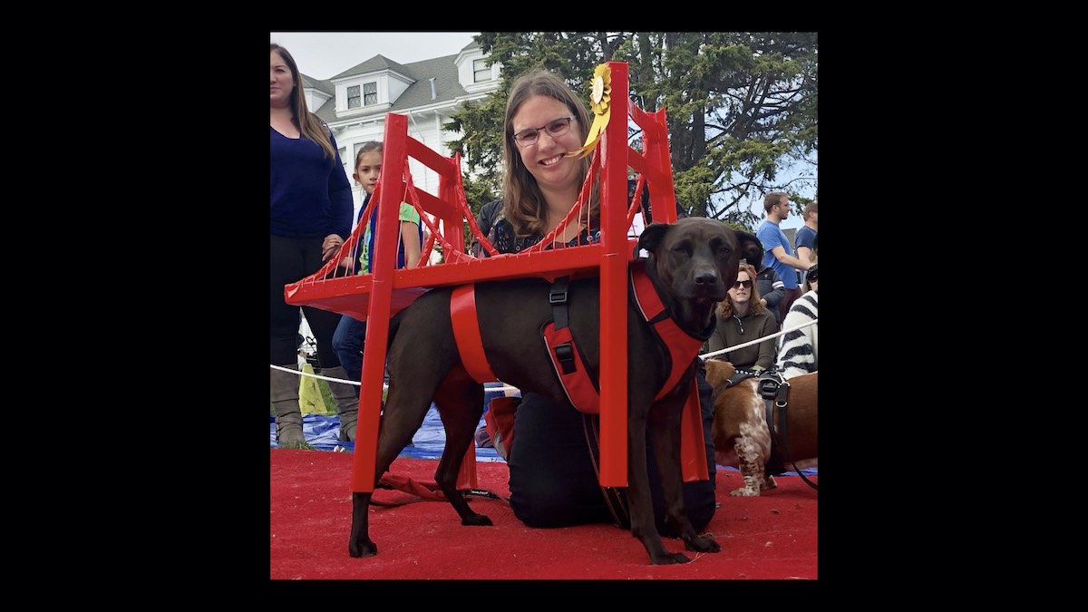 Cleo wearing a very fine Golden Gate Bridge costume with a prize rosette attached to it