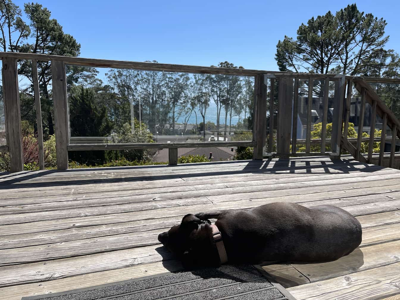 Cleo asleep on the deck with the Pacific ocean in the distance