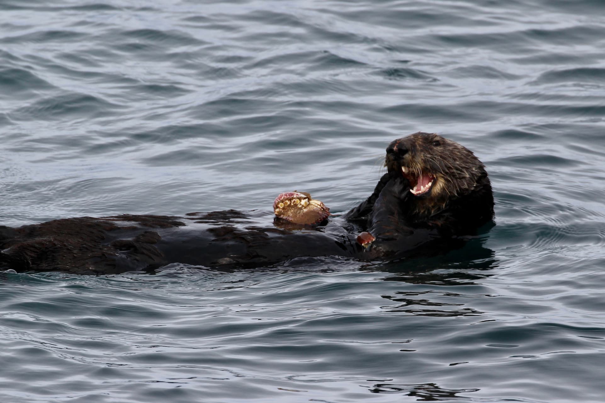 Visit Weeknotes: Taking a break in Moss Landing