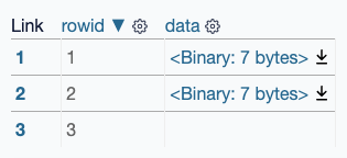 A table with three rows - two containing binary data and one that is empty