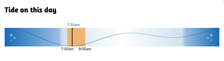 The tide chart shows the tide level throughout the day, highlighting the low tide and showing which portion of the day is covered by the shift