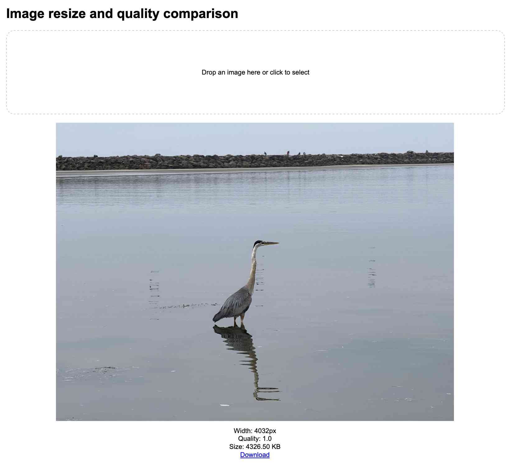Screenshot of the tool, showing a resized photo of a blue heron