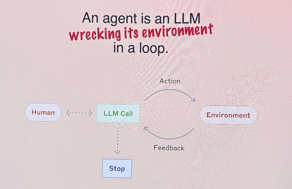 Diagram showing AI agent interaction loop on pink background. Title reads "An agent is an LLM wrecking its environment in a loop." Flow shows: Human connects to LLM Call via dotted arrow, LLM Call connects to Environment via "Action" arrow, Environment connects back to LLM Call via "Feedback" arrow, and LLM Call connects down to "Stop" box via dotted arrow.