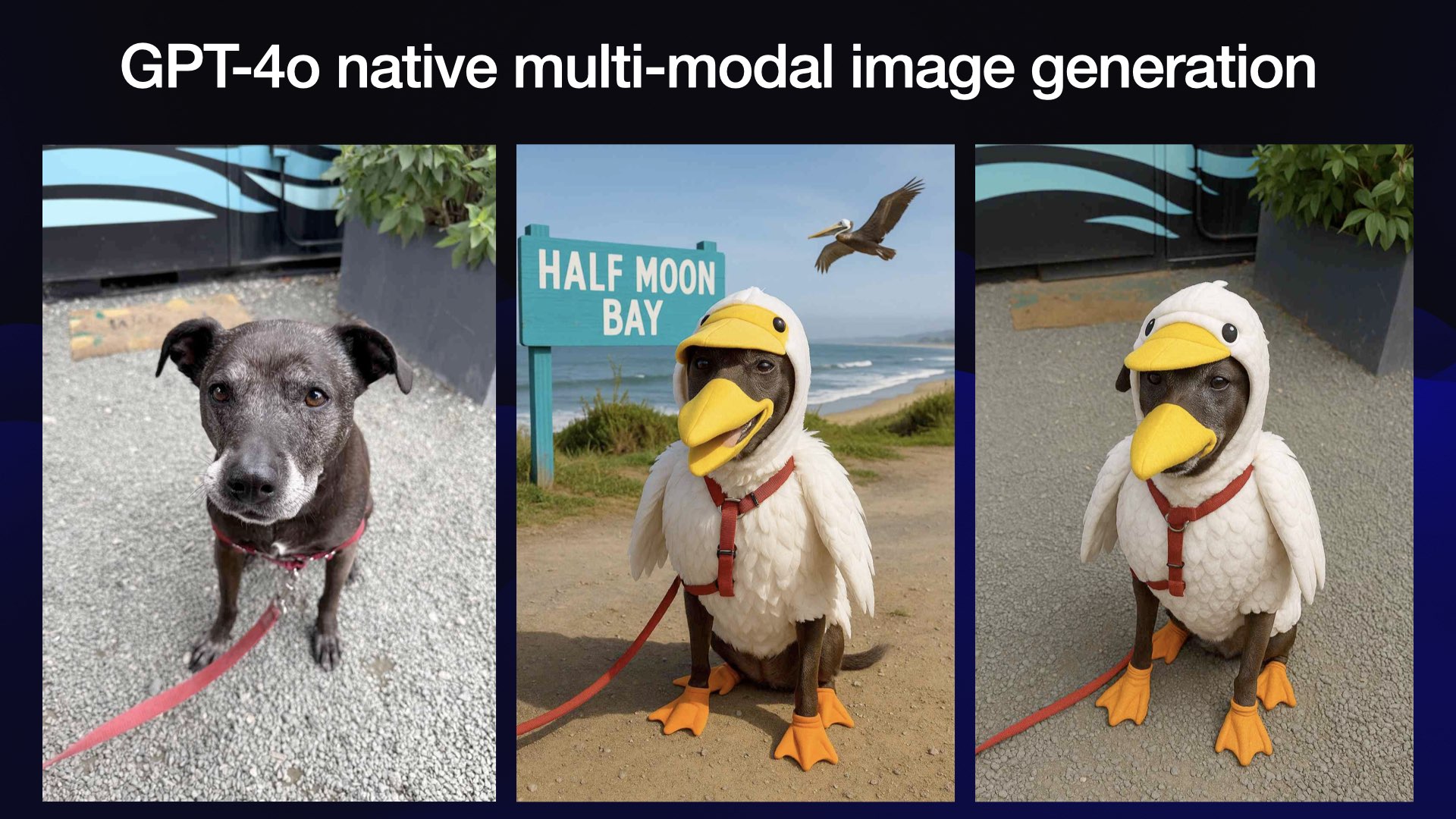 GPT-4o native multi-modal image generation Three images of Cleo, my dog. The first is a photo I took of her stood on some gravel looking apprehensive. In the second AI generated image she is wearing a pelican costume and stood in front of a big blue Half Moon Bay sign on the beach, with a pelican flying in the background. The third photo has the same costume but now she is back in her original location.