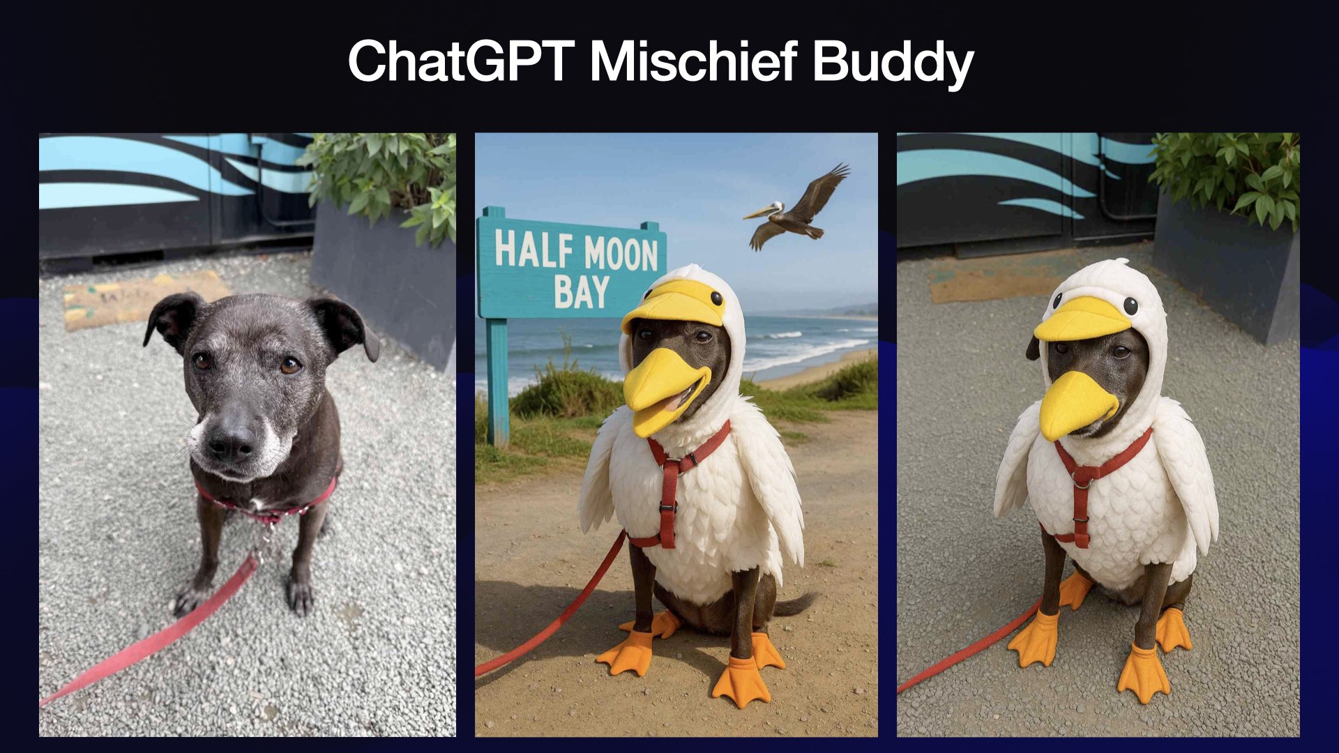 Same three photos, title now reads ChatGPT Mischief Buddy