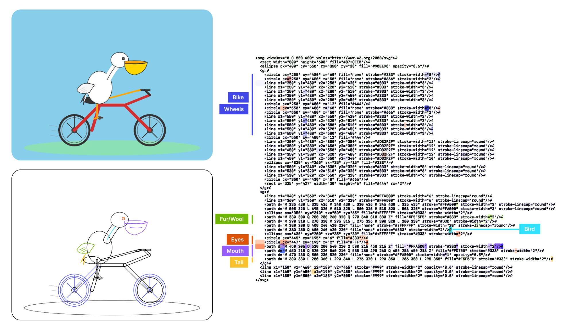 Diagram showing a pelican riding a bicycle illustration alongside its SVG source code. The left side displays two versions: a completed color illustration at top with a white pelican with yellow beak on a red bicycle with blue wheels (labeled "Bike" and "Wheels"), and a line drawing sketch below with labels "Fur/Wool", "Eyes", "Mouth", "Tail", and "Bird". The right side shows the corresponding SVG XML code with viewBox, rect, ellipse, circle, and path elements defining the illustration's geometry and styling.
