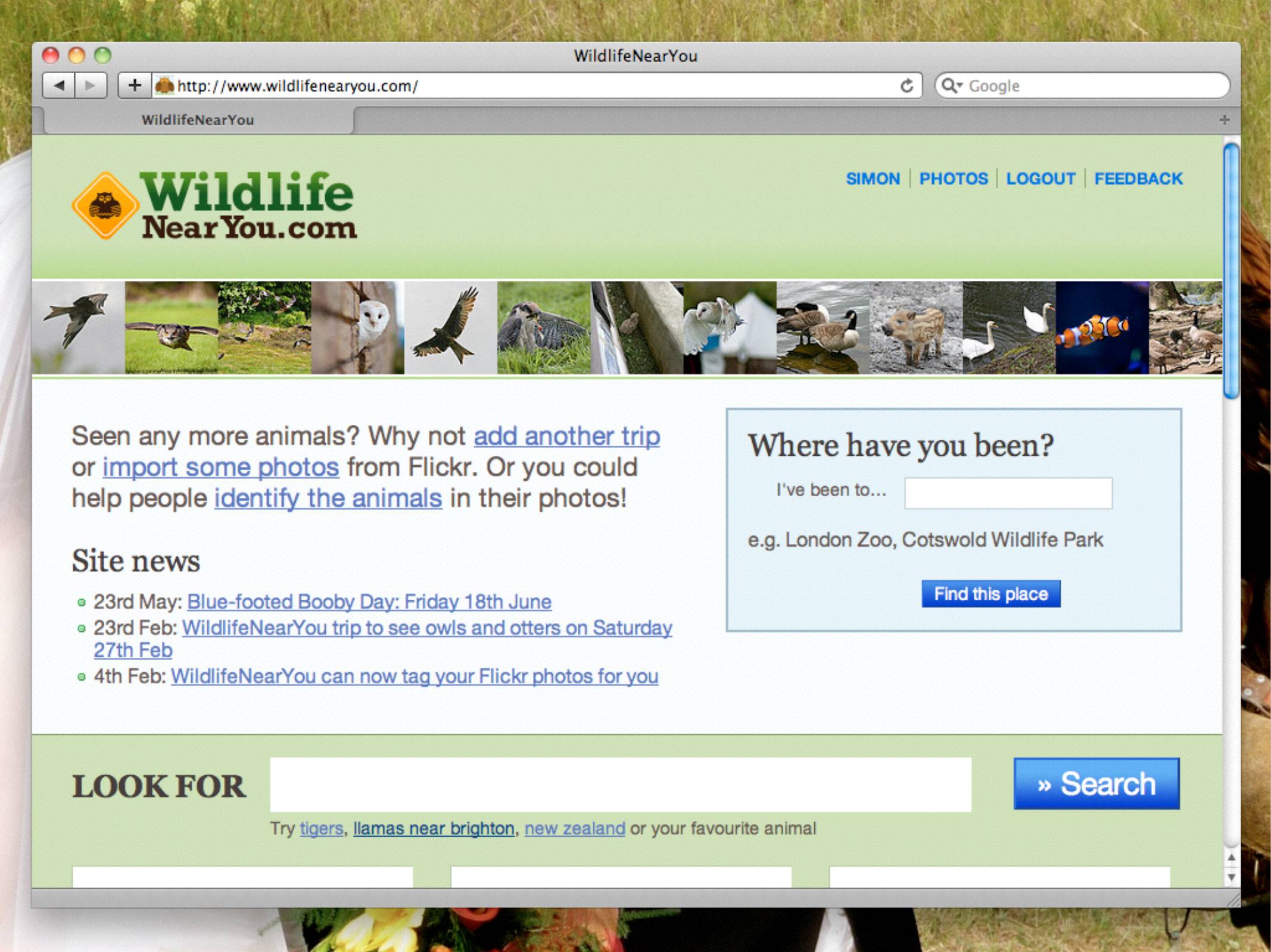 WildlifeNearYou.com

Seen any more animals? Why not add another trip 
or import some photos from Flickr. Or you could
help people identify the animals in their photos!