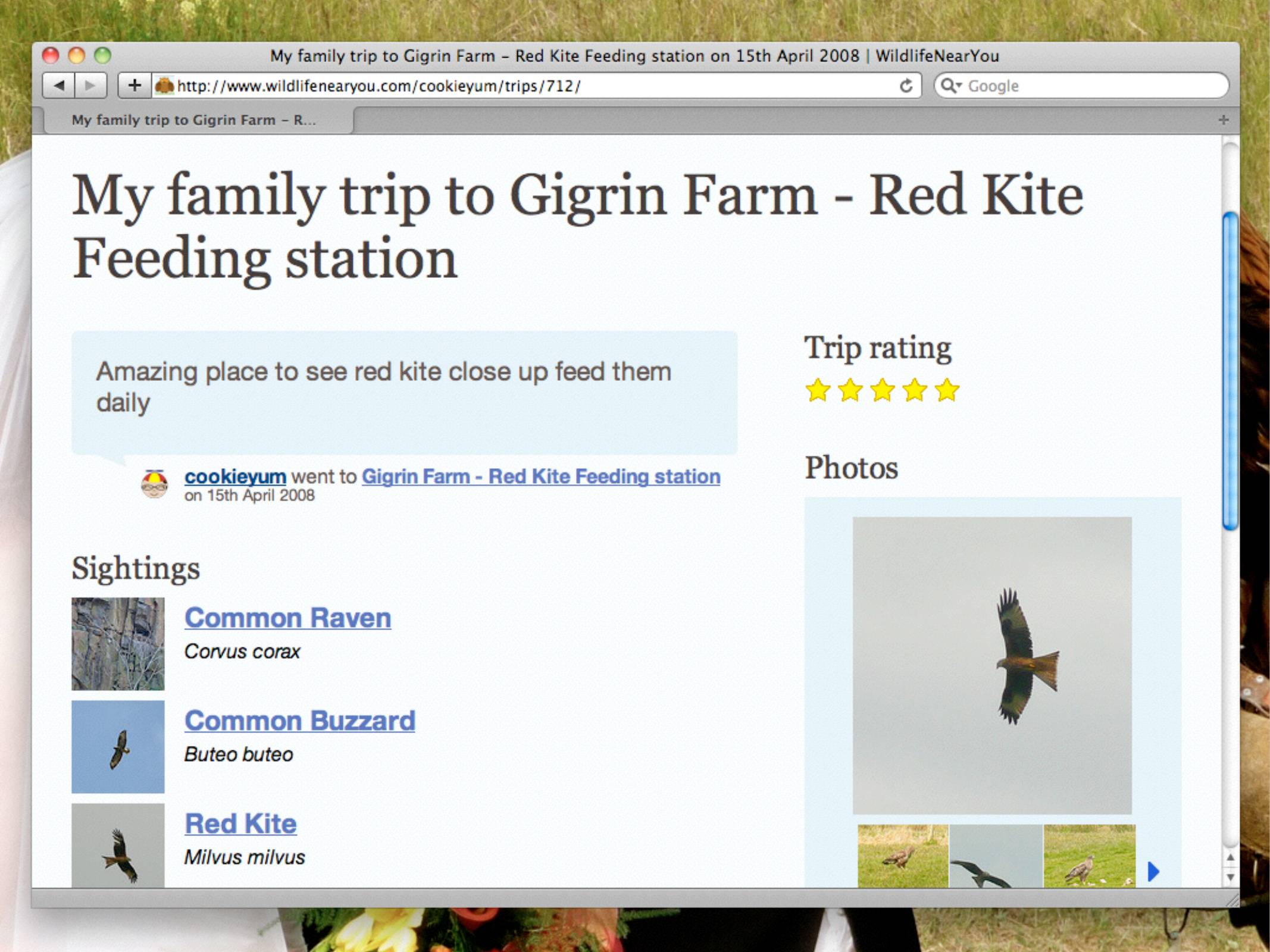 My family trip to Gigrin Farm r-ed Kite Feeding station on 15th April 2008 

Sightings: Common Raven, Common Buzzard, Red Kite