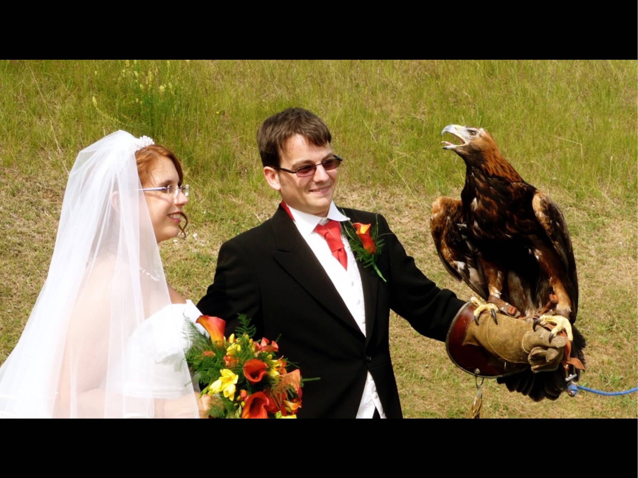 A photo of Natalie and myself in wedding attire with a Golden Eagle perched on a glove on my hand.