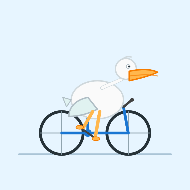 This bicycle has four spokes per wheel, and the pelican is sitting more upright