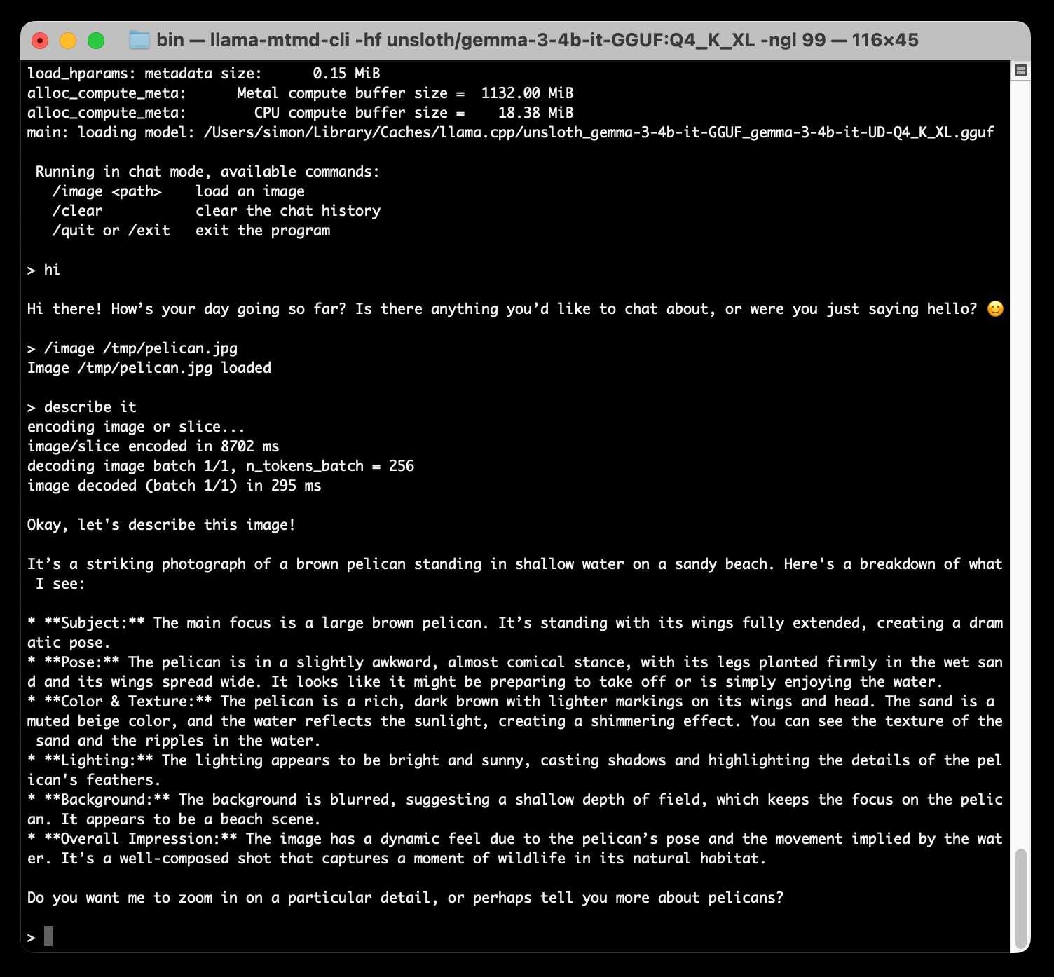 Screenshot of the terminal session showing the response quoted above.