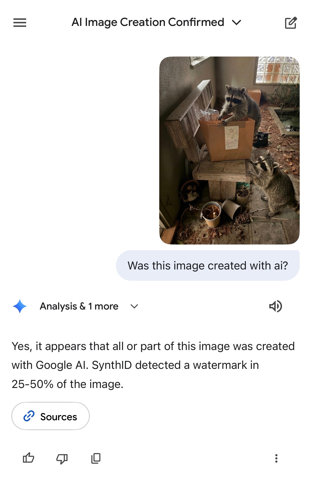 Screenshot of a mobile chat interface displaying a conversation about AI image detection. The user has uploaded a photo showing two raccoons on a porch; one raccoon reaches inside a paper bag a bench while the other stands on the ground looking up at it. The conversation title reads "AI Image Creation Confirmed". The user asks, "Was this image created with ai?" The AI response, labeled "Analysis & 1 more", states: "Yes, it appears that all or part of this image was created with Google AI. SynthID detected a watermark in 25-50% of the image."