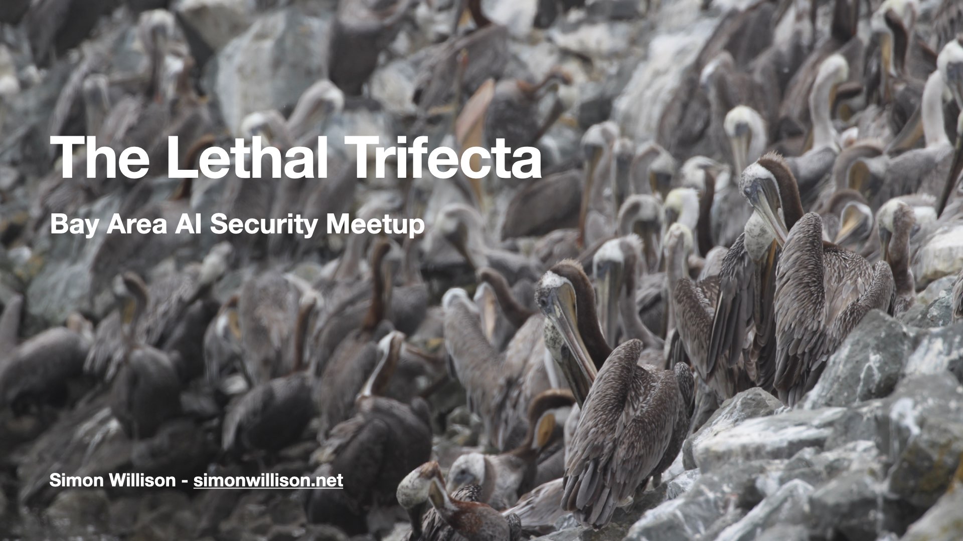 The Lethal Trifecta Bay Area AI Security Meetup Simon Willison - simonwillison.net On a photograph of dozens of beautiful California brown pelicans hanging out on a rocky outcrop together