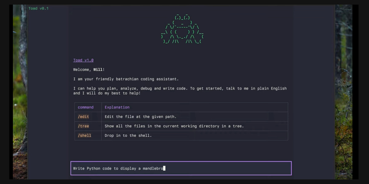 Announcing Toad - a universal UI for agentic coding in the terminal