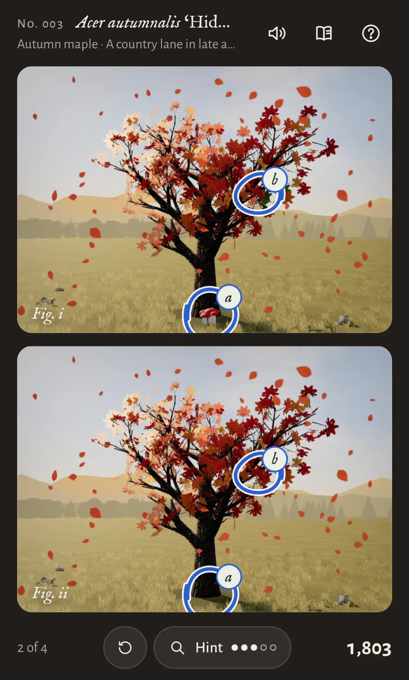Screenshot of a mobile spot-the-difference puzzle game with a dark interface. Header reads "No. 003 Acer autumnalis ‘Hid…" with subtitle "Autumn maple · A country lane in late a…" and icons for sound, a book, and help. Two nearly identical 3D-rendered scenes are stacked vertically, labeled "Fig. i" and "Fig. ii", each showing a dark-trunked maple tree with red, orange and pale peach leaves, leaves falling through the air, a golden grassy field with a few small rocks, and hazy hills with pine silhouettes under a pale sky. Two differences are circled in blue in both images: circle "a" at the base of the trunk, where Fig. i has a small red mushroom that is missing in Fig. ii, and circle "b" in the right side of the canopy, where Fig. i has a patch of green leaves that are red in Fig. ii. The bottom bar shows "2 of 4", a reset button, a "Hint" button with three filled and two empty dots, and a score of "1,803".