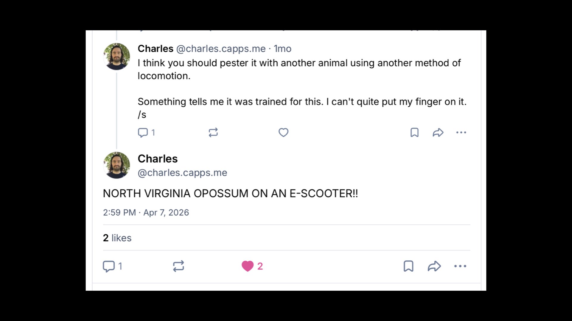 Screenshot of Bluesky  Charles ‪@charles.capps.me‬ I think you should pester it with another animal using another method of locomotion.   Something tells me it was trained for this. I can't quite put my finger on it. /s  NORTH VIRGINIA OPOSSUM ON AN E-SCOOTER!!