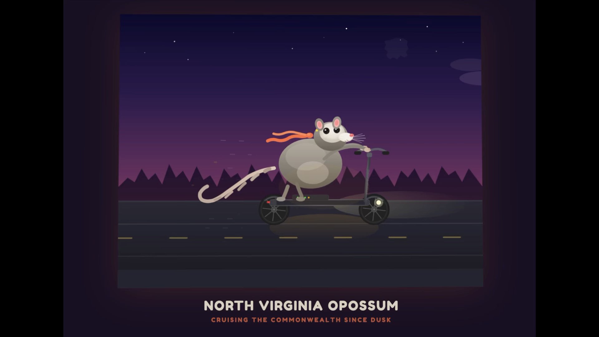 NORTH VIRGINIA OPOSSUM CRUISING THE COMMONWEALTH SINCE DUSK  And a really cool illustration of a possum.