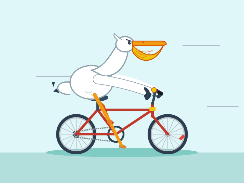 Excellent bicycle - good frame shape, nice chain, even has a reflector on the front wheel. Pelican has a mean looking expression but has its wings on the handlebars and feet on the pedals. Pouch is a little sharp.