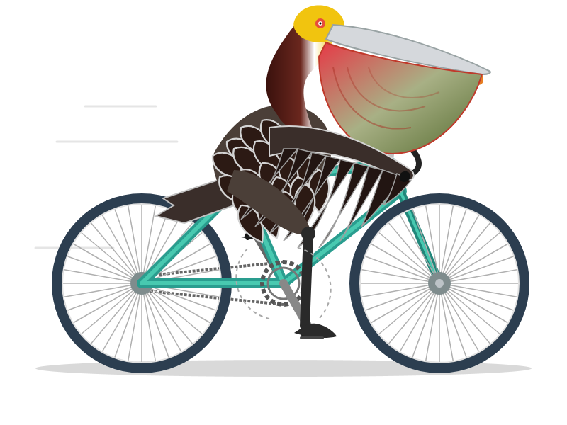 Flat-style illustration of a brown pelican riding a teal bicycle with dark blue-rimmed wheels against a plain white background. Unlike the previous image's white cartoon pelican, this pelican has realistic brown plumage with detailed feather patterns, a dark maroon head, yellow eye, and a large pink-tinged pouch bill. The bicycle is a simpler design without a basket, and the scene lacks the colorful background elements like the sun, clouds, road, hills, cap, and scarf from the first illustration, giving it a more minimalist feel.