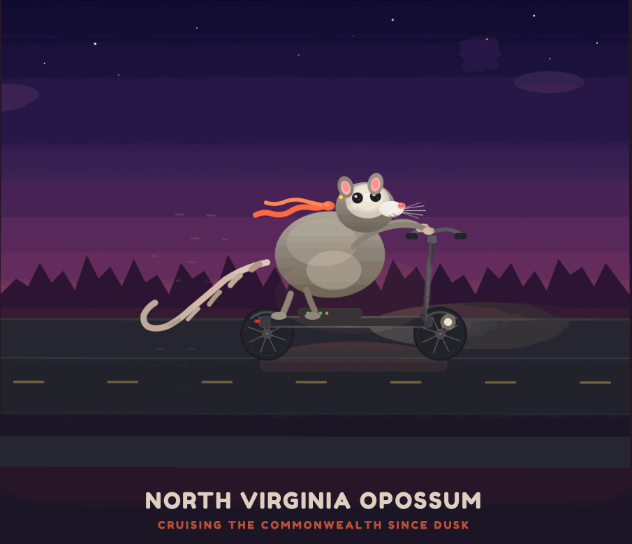 This is so great. It's dark, the possum is clearly a possum, it's riding an escooter, lovely animation, tail bobbing up and down, caption says NORTH VIRGINIA OPOSSUM, CRUISING THE COMMONWEALTH SINCE DUSK - only glitch is that it occasionally blinks and the eyes fall off the face