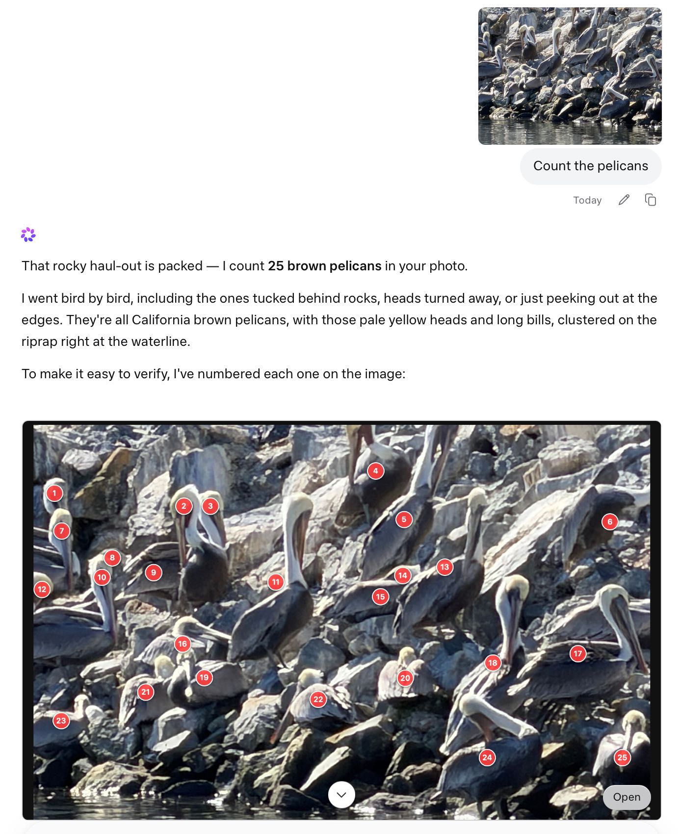 Screenshot of a Meta AI conversation where the user uploaded a photo of pelicans on rocks and asked "Count the pelicans". response reads: "That rocky haul-out is packed — I count 25 brown pelicans in your photo. I went bird by bird, including the ones tucked behind rocks, heads turned away, or just peeking out at the edges. They're all California brown pelicans, with those pale yellow heads and long bills, clustered on the riprap right at the waterline. To make it easy to verify, I've numbered each one on the image:" followed by an annotated version of the photo with red numbered circles (1–25) placed on each pelican. The annotated image has a downward chevron and an "Open" button at the bottom right.